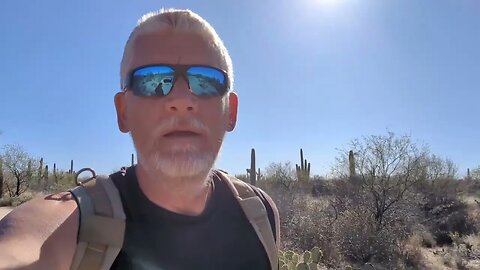 Saguaro National Park East Hike and Drive