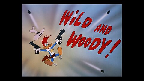 Woody Woodpecker 19 Wild and Woody (1948)