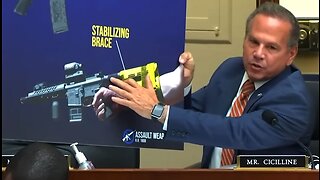 Assault Weapons Ban Introduced in the House and Senate