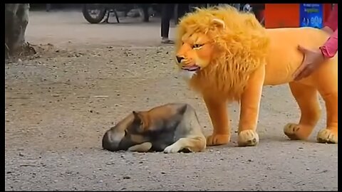 Prank Dog Funny & Fake Lion/Tiger Prank