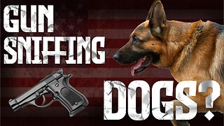 First Gun-Sniffing Dog at Mall of America