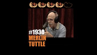 JRE #1932 Merlin Tuttle & short opinions on #1930 Adam Curry #1931 Mike Glover #1933 Jordan Peterson