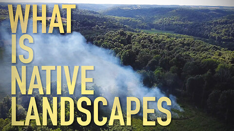 Native Landscapes- A Land and Wildlife Habitat Management Company