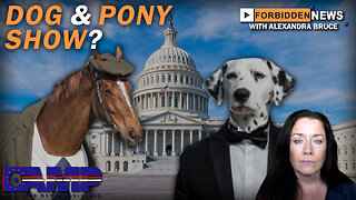 Dog & Pony Show? | Forbidden News Ep. 31