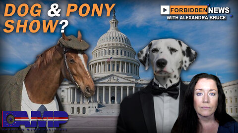 Dog & Pony Show? | Forbidden News Ep. 31