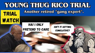Young Thug RICO-Trial: Another retired "gang expert" takes the stand.