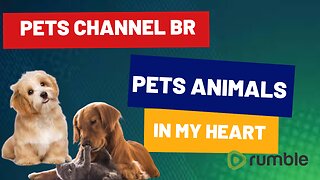 PET ANIMALS IN MY HEART