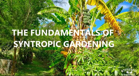 The Fundamentals of Syntropic Gardening