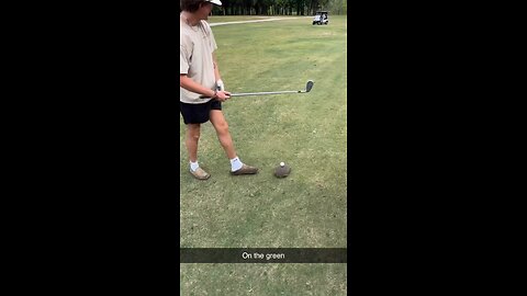 Glad he didn’t hit the turtle
