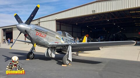 P-51D Mustang Flight Demonstration