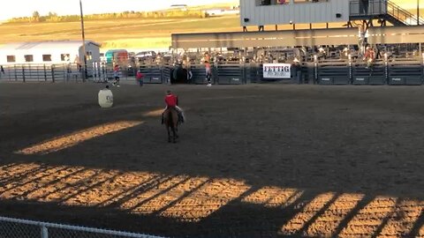 Bull Riding at Rodeo