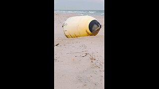 Buoy washed ashore