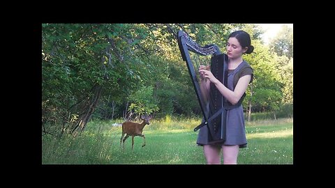 A deer turned my harp session into a Disney movie