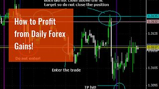 How to Profit from Daily Forex Gains!