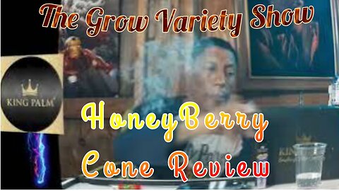 King Palm HoneyBerry Hemp Cone review
