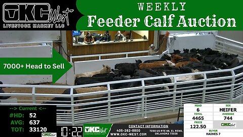 2/8/2022 - OKC West Feeder Calf Auction