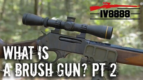 What is a Brush Gun? Part 2