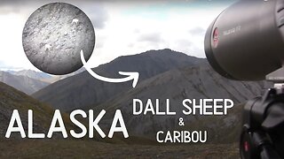 Alaska Dall Sheep Hunt and Caribou Hunt, MDMM Season 5 Ep. #1, Brooks Range Hunting Adventure Film