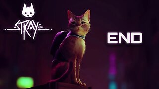 Stray Complete Full Gameplay Walkthrough END
