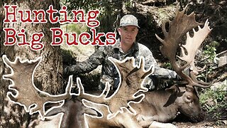 Hunting Big Bucks || Two Trophies Taken in a Day || 30-06 Deer Stalking Australia