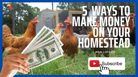 5 ways to make money from your homestead