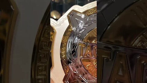 WWE Women's Tag Team Replica Title Belt Unboxing! #shorts