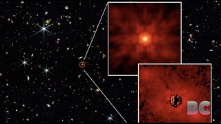 MIT astronomers observe elusive stellar light surrounding ancient quasars
