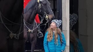 The kings Guards horse so friendly #horseguardsparade