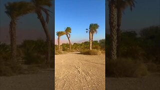 Palm Trees and Purple Mountains in Eilat | Water Song 🎶 | Pamela Storch