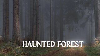 Haunted Forest - Ambience (no music) - sounds of a misty creepy forest