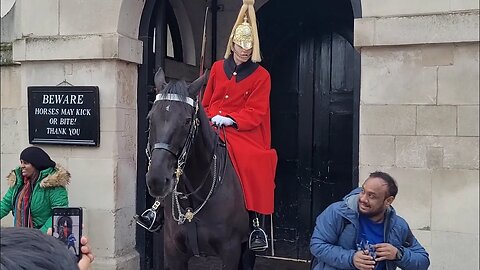 Tourist grabs the reins and gets shouted at (LET GO OF THE REINS) #horseguardsparade