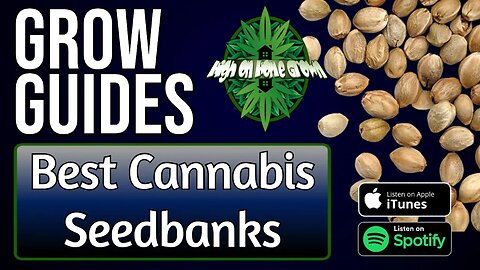 Best Cannabis Seedbanks | Grow Guides Episode 5