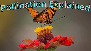 Does Pollination Produce Buds?