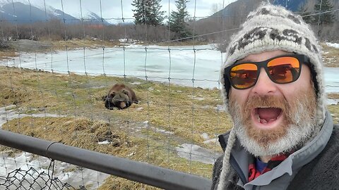 Bear Selfie!! Wildlife Up Close! Alaska Wildlife Conservation Center (AWCC) Day 2 Part 1