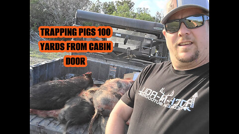 Using Texas Hog Bait To Trap Pigs Near The Cabin. Trapping/Hunting Hogs In Texas