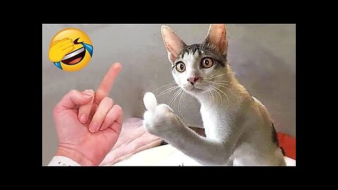 Funniest Animals | Funny Cats and Dogs 2023 Part 18