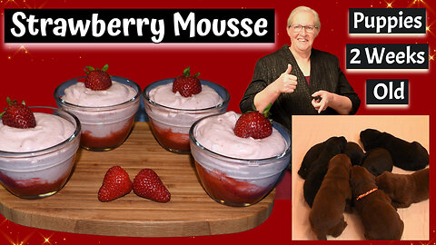 Delicious 3-ingredient Strawberry Mousse Recipe! Cute Labrador Puppies, Inspirational Thought