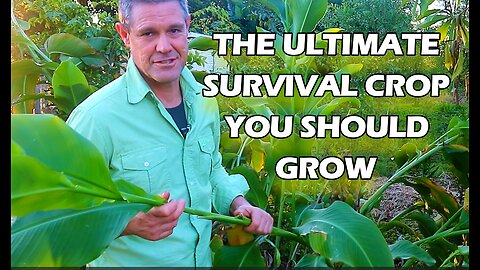 Permaculture - The Ultimate Survival Crop You Should Grow
