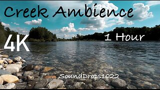 1 Hour Creek Meditation: Deep Relaxation with Water Sounds