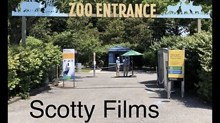 (Scotty Mar10) Scorpions - The Zoo