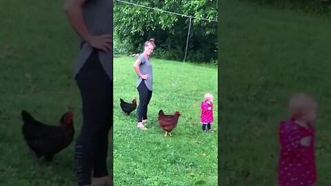Chicken follows Baby