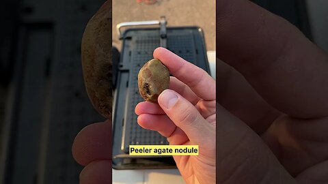 Cutting Peeler Agate Nodule with Lapidary Saw #shorts