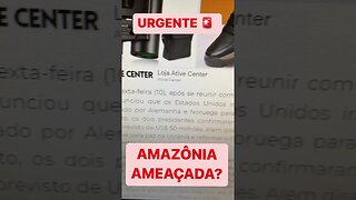 Lula e Biden anunciam adesão dos EUA ao Fundo Amazônia