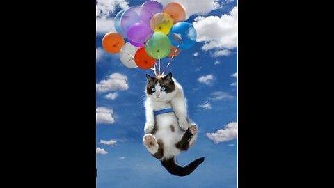 #🐈cat air pump in balloon and balloon blast 💥😁🤣#Funny cats video #