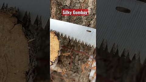 Silky Gomboy -cutting wood has never been so easy.