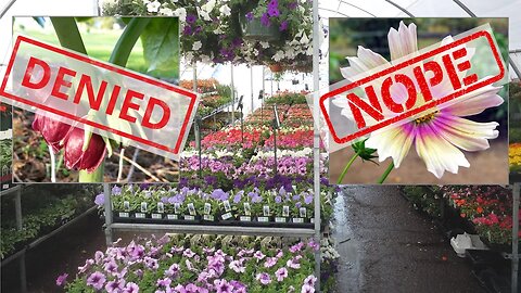10 More Plants You Won't Find in Big Box Garden Centers