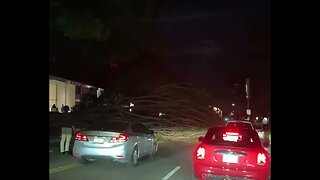 A large tree fell in West Hollywood onFranklin ave & N Sycamore ave, no injuries reported.