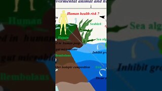 What if the Earth were twice its size? # shorts #shortsfeed #shortsvideo #viral #shortvideo #short