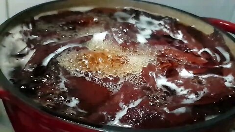 720p/960fps boiling bubbling as I make Ayahuasca/DMT...