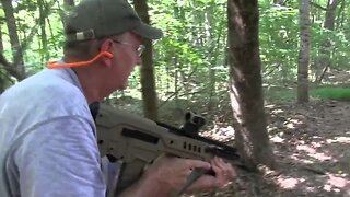 Tavor Woods Walk